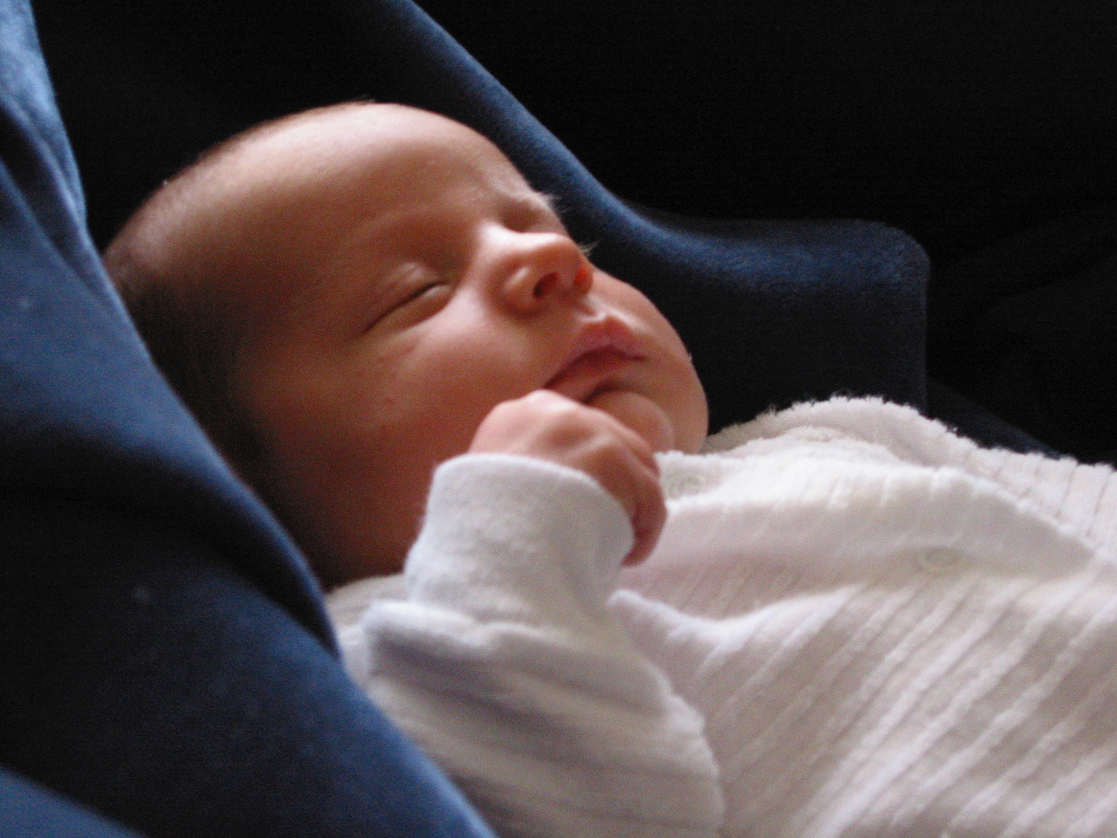 image from Pregnancy